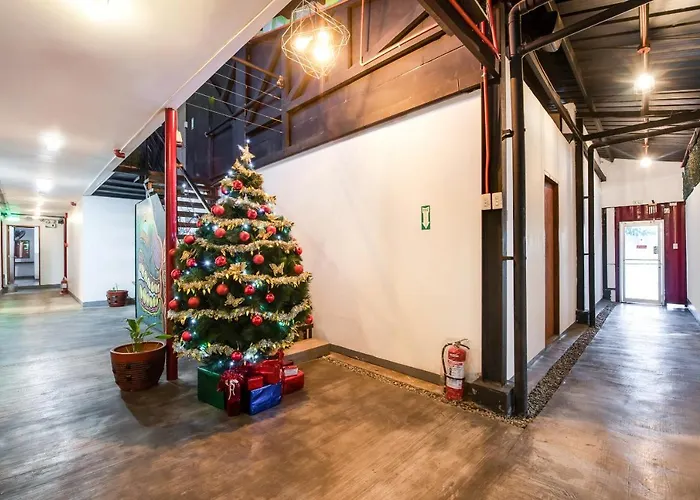 Oyo 462 Crave Park Hotel